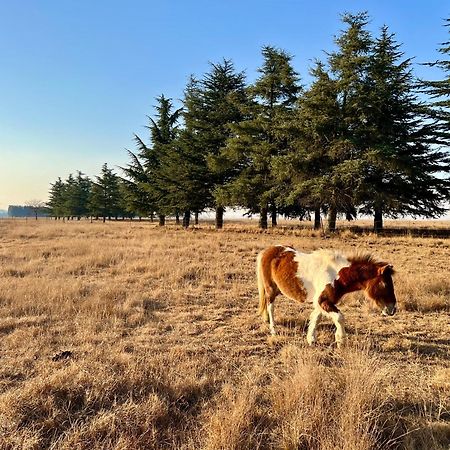 Merino Stal Guest Farm Ermelo Ngoại thất bức ảnh